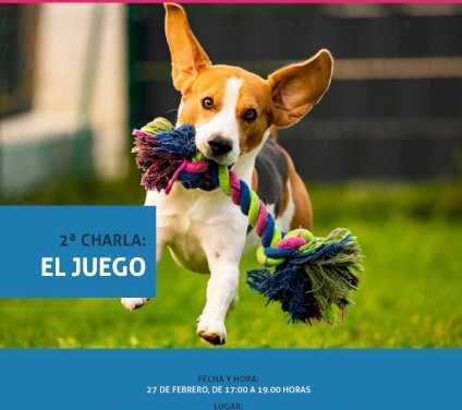 Alcalá – Continúan las charlas y sesiones de Educación Canina en Alcalá de Henares