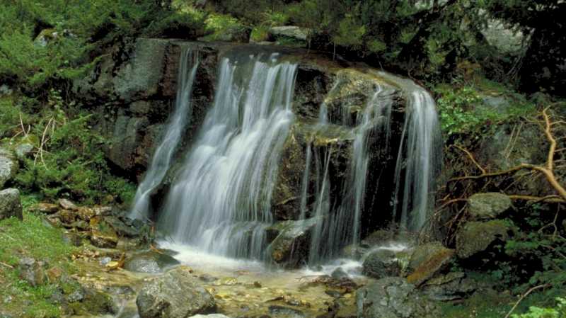 La Comunidad de Madrid invierte en ayudas para dinamizar el entorno del Parque Nacional de la Sierra de Guadarrama