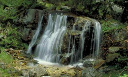 La Comunidad de Madrid invierte en ayudas para dinamizar el entorno del Parque Nacional de la Sierra de Guadarrama