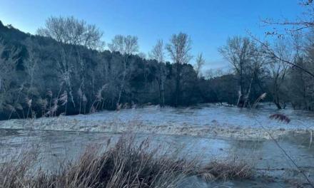 Alcalá – El caudal del río Henares alcanza el nivel rojo, pero se mantiene bajo control